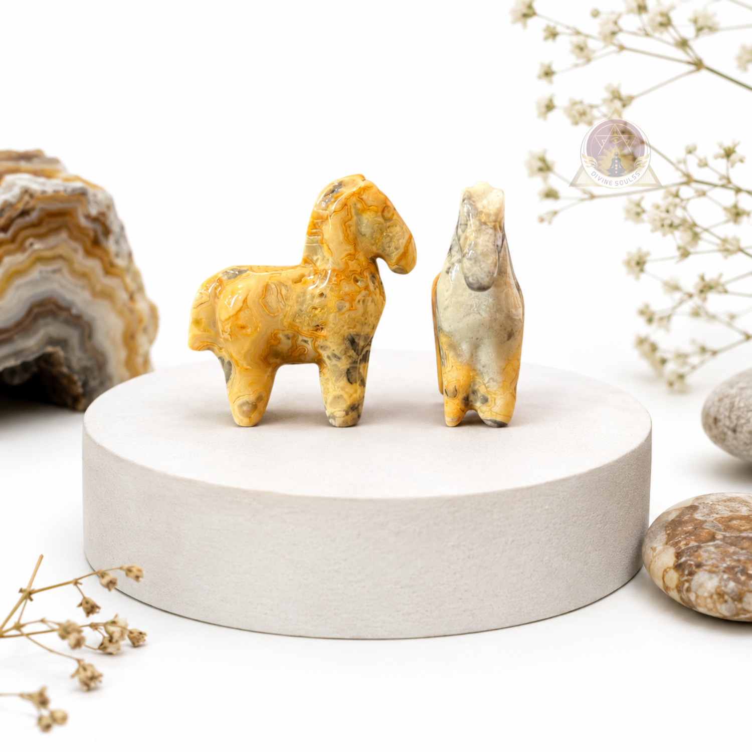 Good Luck Horse – Crazy Lace Agate