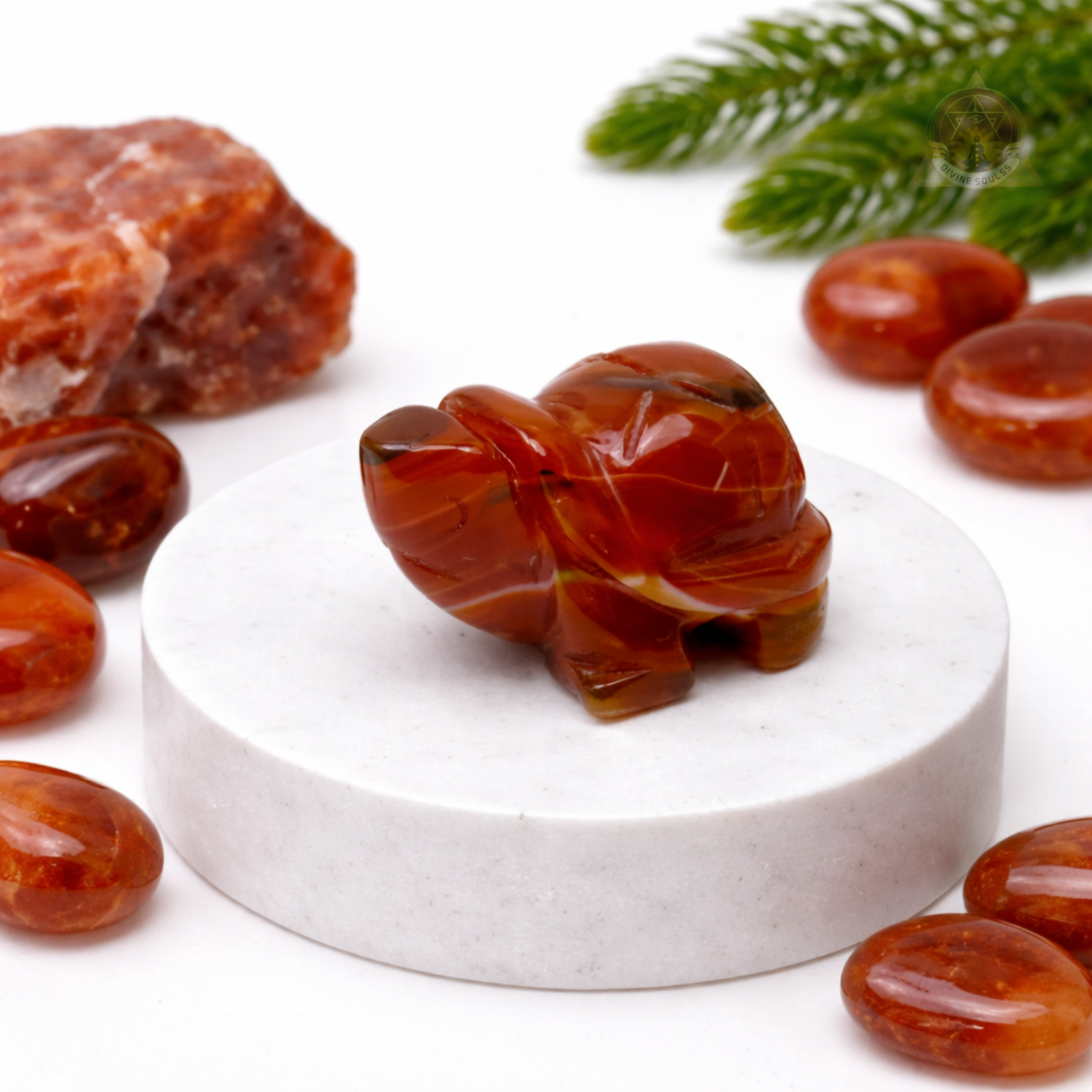 Stability Tortoise – Red Sulemani