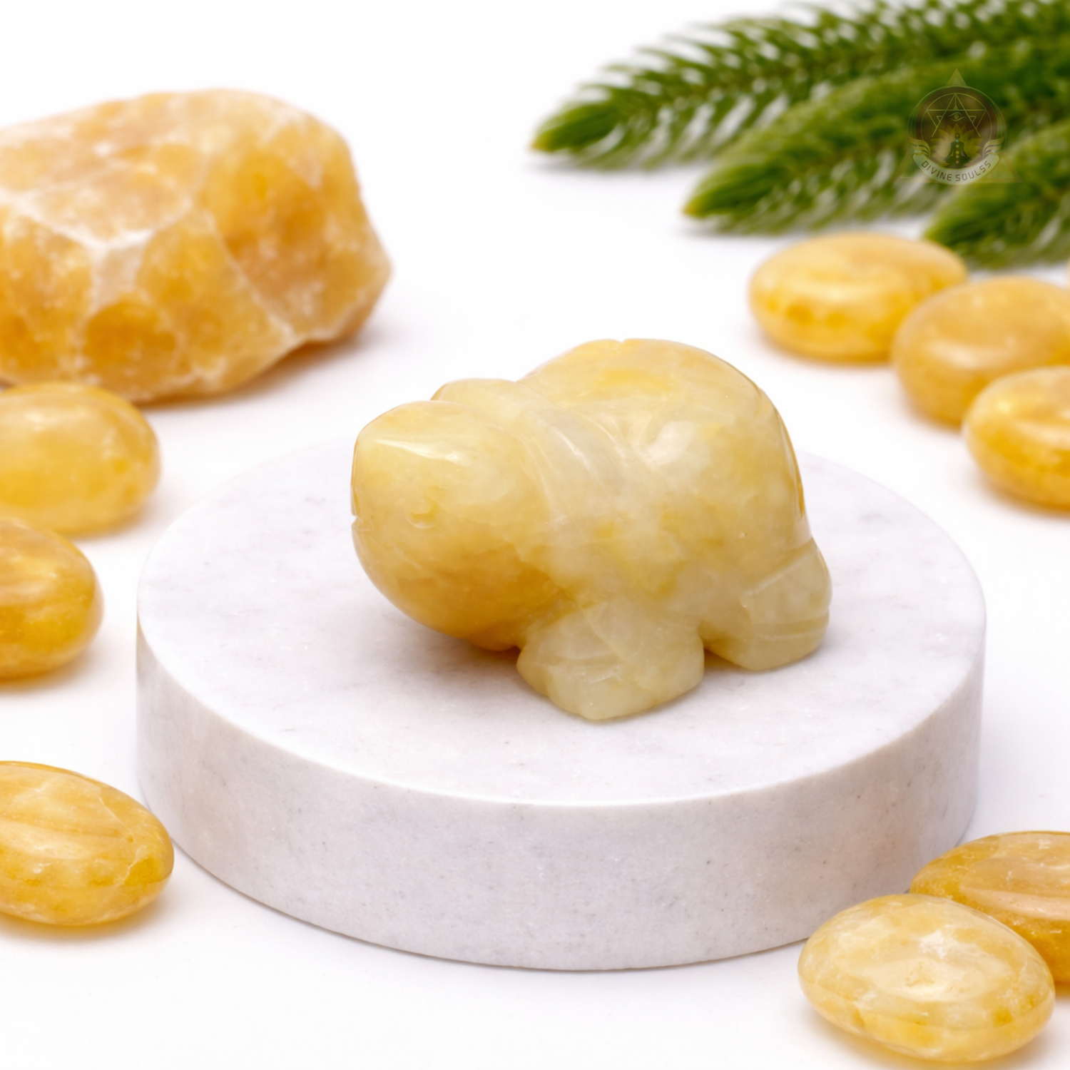 Success Tortoise – Yellow Jade