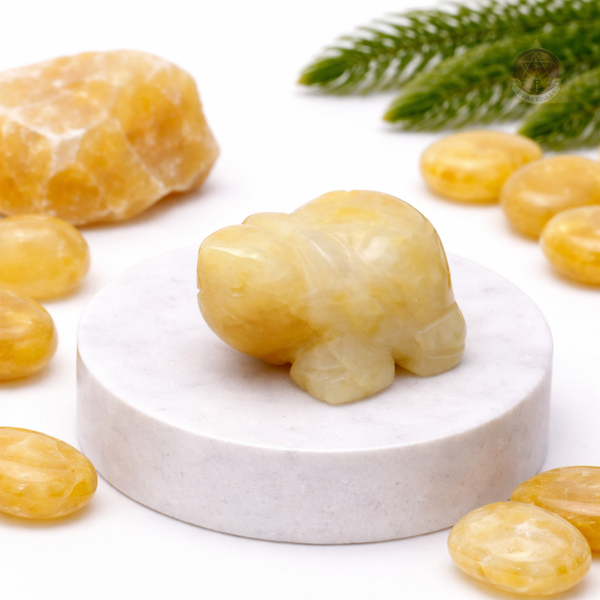 Success Tortoise – Yellow Jade