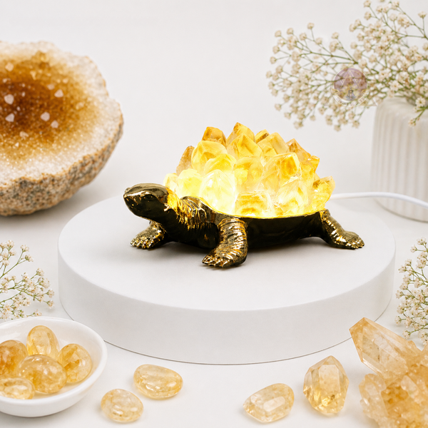Money Tortoise – Citrine Lamp