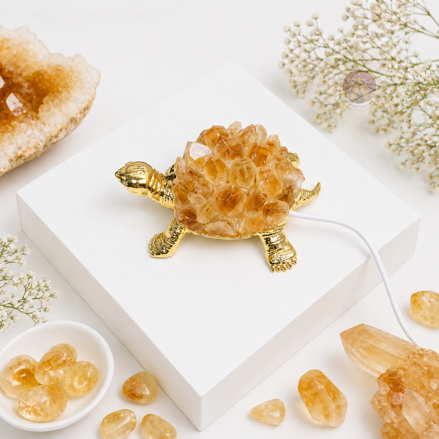 Money Tortoise – Citrine Lamp