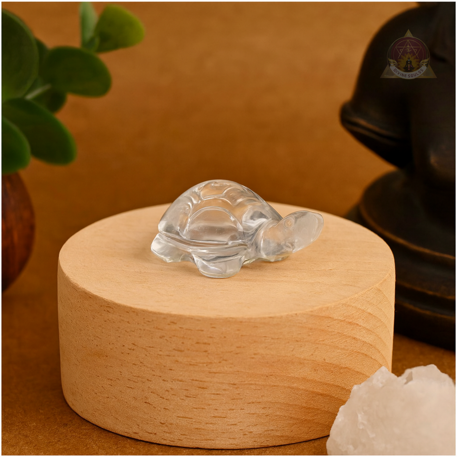 Stability Tortoise – Clear Quartz